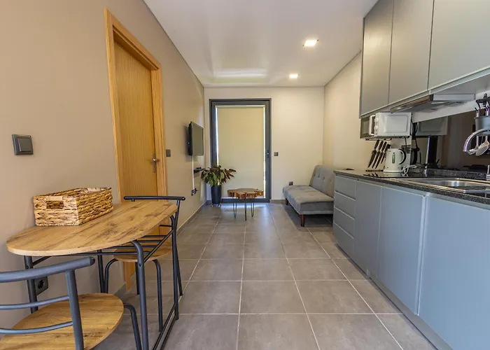 Villa Refugio De Luxo Com Spa, Piscina Interior E Exterior - Pedra Aguda Fagilde